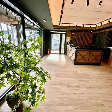 Kristal Lux Apartment *