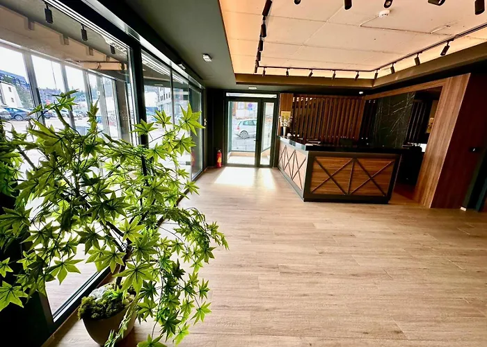 Kristal Lux Apartment *